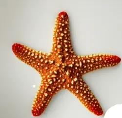 Exploring Fascinating World of Starfish